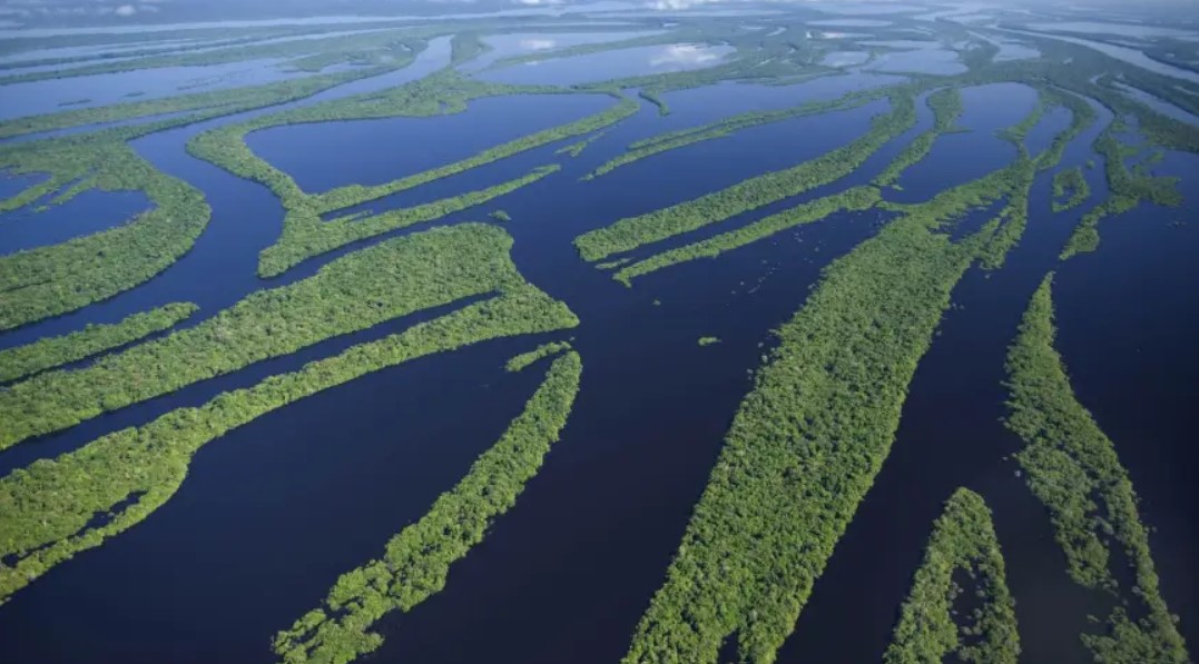 Estudo aponta que Amazônia é responsável por 25% das chuvas do Sul e Sudeste